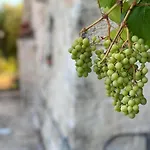 Il Palmento Relais