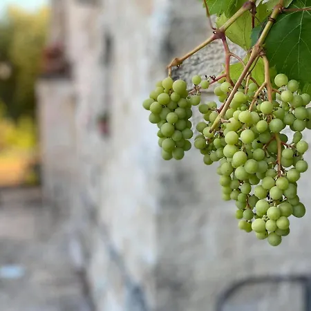 Il Palmento Relais