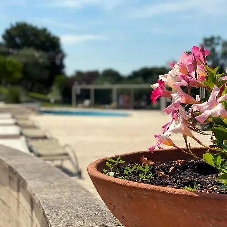 ホテル Il Palmento Relais アルベロベッロ