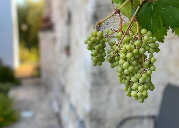 Il Palmento Relais