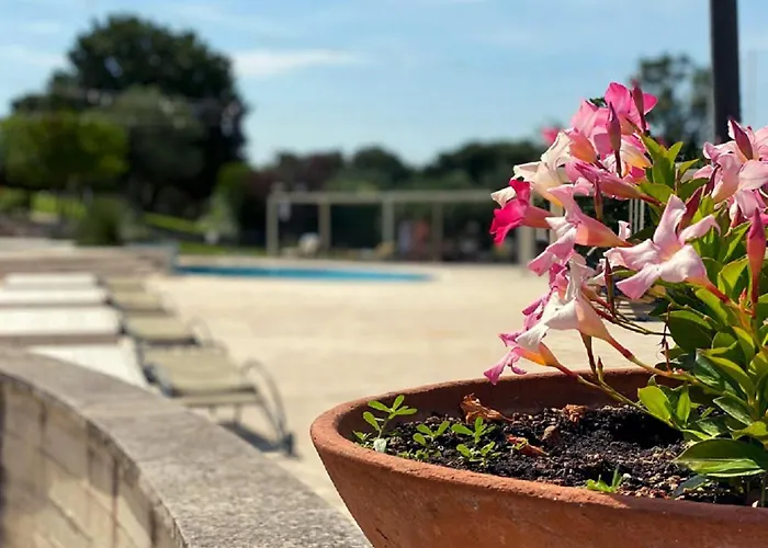 מלון Il Palmento Relais אלברובלו